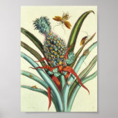 Insectengeneraties Bord 1 Poster (Voorkant)