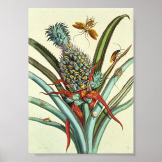 Insectengeneraties Bord 1 Poster