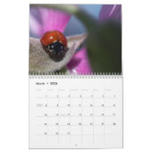 Insectenkalender 2013 kalender (Mar 2026)