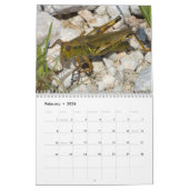 Insectenkalender 2013 kalender (Feb 2026)