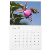 Insectenkalender 2013 kalender (Jan 2027)