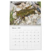 Insectenkalender 2013 kalender (Feb 2027)