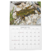 Insectenkalender Kalender (Feb 2027)