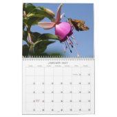 Insectenkalender Kalender (Jan 2027)