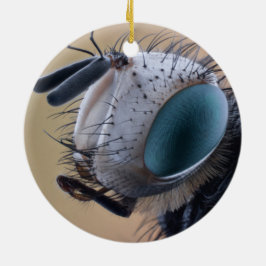 Insectenkop Close-up Keramisch Ornament