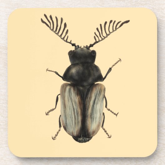 Insectenliefhebber Art: Cool Beetle Bier Onderzetter (Voorkant)