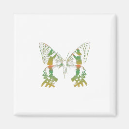 Insectenmot groen Sinaasappel Magneet