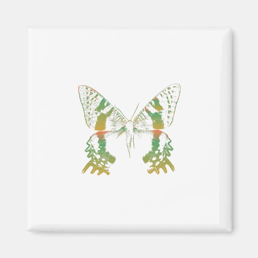 Insectenmot groen Sinaasappel Magneet (Voorkant)