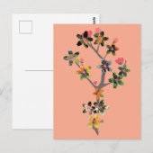 Insectenuitlopers Briefkaart (Voorkant / Achterkant)