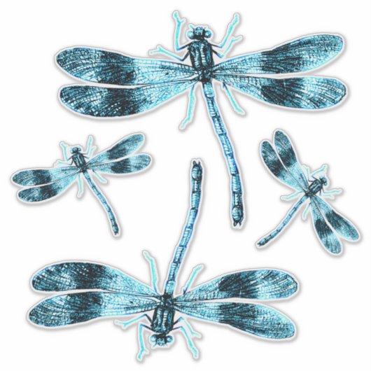 Insects Blue Damsel Dragonflies Etymology Sticker (Voorkant)
