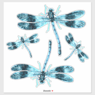 Insects Blue Damsel Dragonflies Etymology Sticker