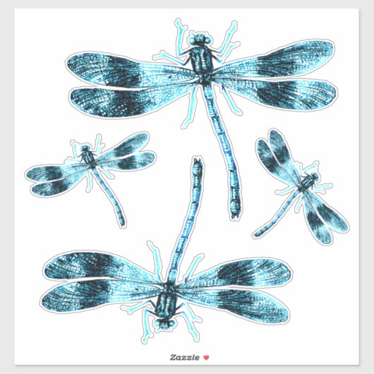 Insects Blue Damsel Dragonflies Etymology Sticker (Vel)