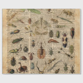 Insects Bugs  Illustration Dictionary Art Cadeaupapier (Vlak)