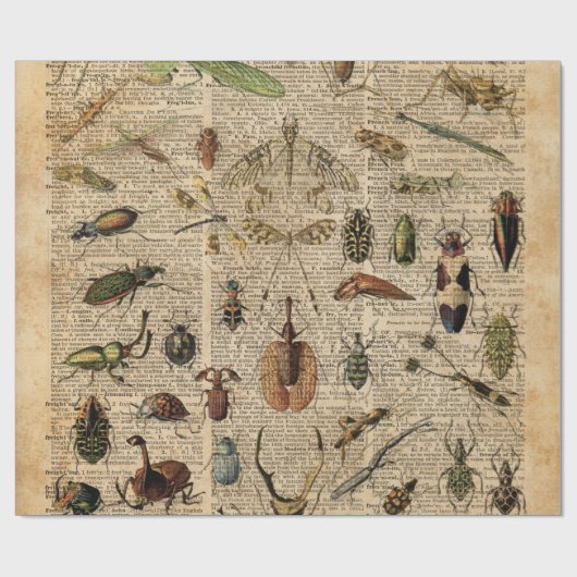 Insects Bugs  Illustration Dictionary Art Cadeaupapier (Vlak)