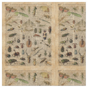 Insects Bugs  Illustration Dictionary Art Stof