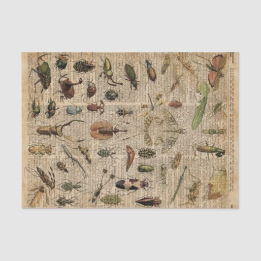Insects Bugs Illustration Dictionary Art Tissuepapier (Voorkant)