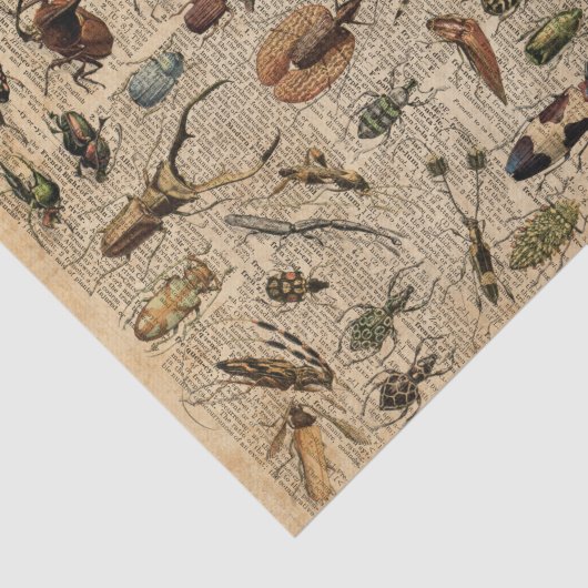 Insects Bugs  Illustration Dictionary Art Tissuepapier (Detail)
