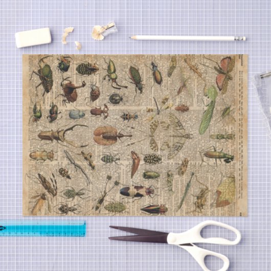 Insects Bugs Illustration Dictionary Art Tissuepapier (Craft)