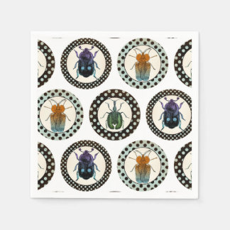 Insects Colorful Beetles Science Servet