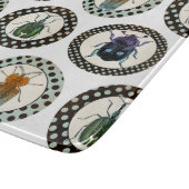  Insects Colorful Beetles Science Snijplank (Hoek)