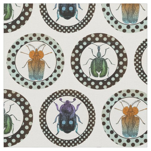 Insects Colorful Beetles Science Stof (Close Up)
