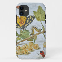 Insects Crawling