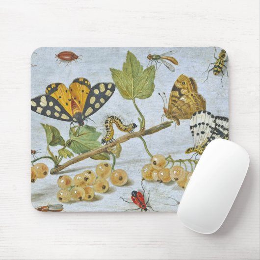 Insects Crawling Muismat (Met muis)