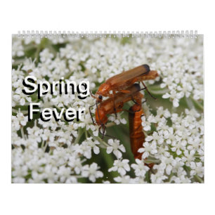 Insects Macros 2021 Kalender