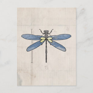 Insects Series-Dragonfly door VOL25 Briefkaart