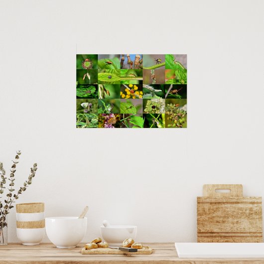 Insekten - Collage Poster (Keuken)