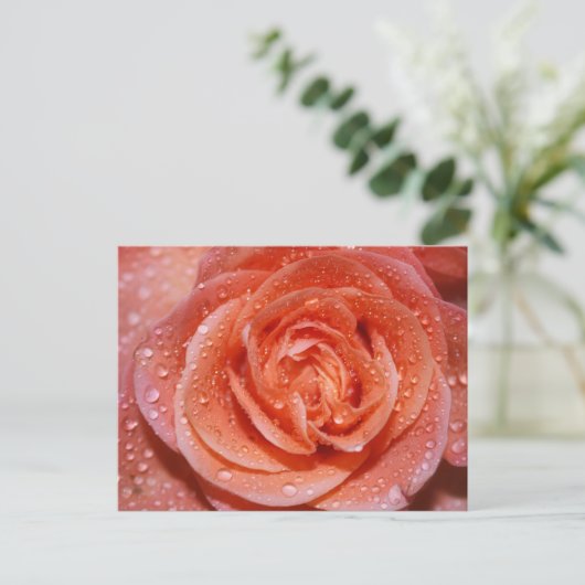 Inside a Rose Briefkaart (Staand voorkant)