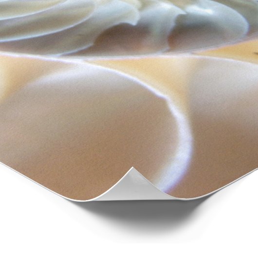 Inside Nautilus Poster (Hoek)