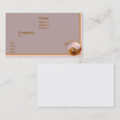 Inside Nautilus Visitekaartje (Voorkant / Achterkant)