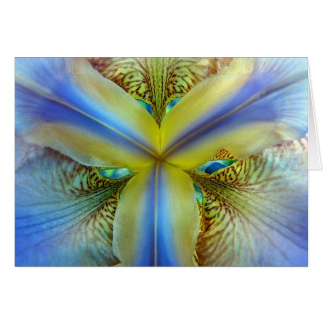 Inside of Iris (Voorkant Horizontaal)