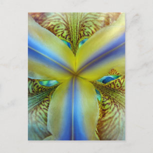 Inside of Iris Briefkaart