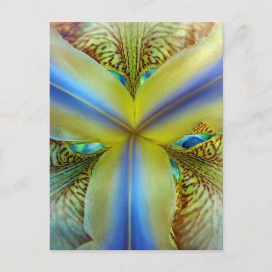 Inside of Iris Briefkaart (Voorkant)
