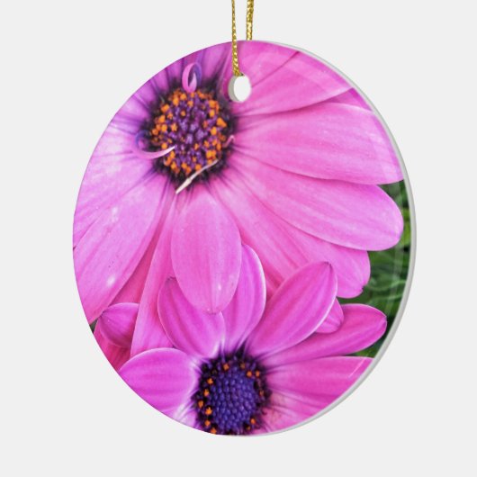 Inside of Pink Paars Gerbera Daisy Flower Natuur Keramisch Ornament (Links)