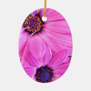 Inside of Pink Paars Gerbera Daisy Flower Natuur Keramisch Ornament