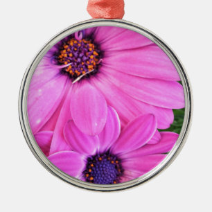 Inside of Pink Paars Gerbera Daisy Flower Natuur Metalen Ornament