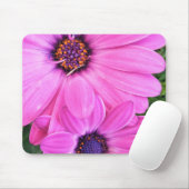 Inside of Pink Paars Gerbera Daisy Flower Natuur Muismat (Met muis)