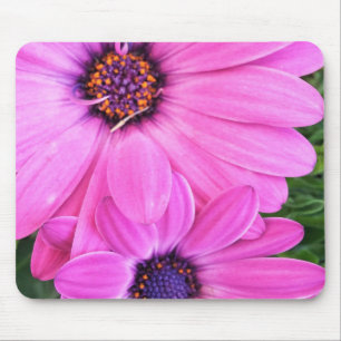 Inside of Pink Paars Gerbera Daisy Flower Natuur Muismat