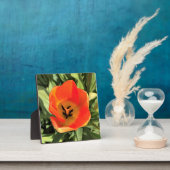 Inside Oranje Tulip Fotoplaat (Insitu)