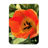 Inside Oranje Tulip Magneet (Verticaal)