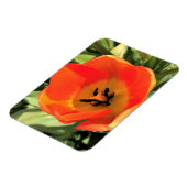 Inside Oranje Tulip Magneet (Linkerzijde)