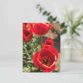 Inside Red Tulips Briefkaart (Staand voorkant)