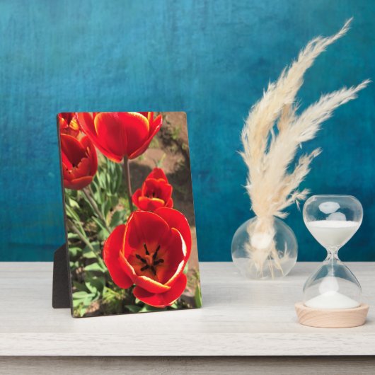 Inside Red Tulips Fotoplaat (Zijkant)