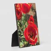 Inside Red Tulips Fotoplaat (Zijkant)