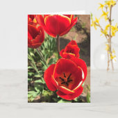 Inside Red Tulips Kaart (Gele Bloem)