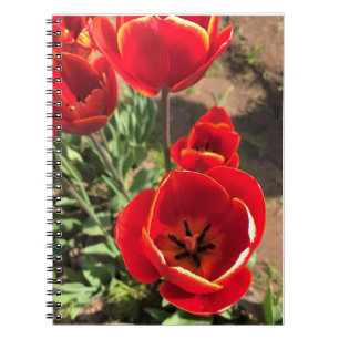 Inside Red Tulips Notitieboek
