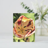 Inside Red & White Tulip Briefkaart (Staand voorkant)